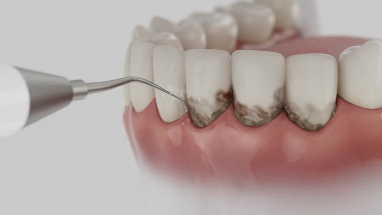 Reliable Dental contractor in Jersey Village, TX by Dentist Open Now